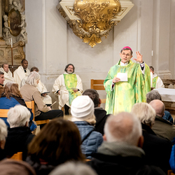 Erzdiözese Wien/Schönlaub