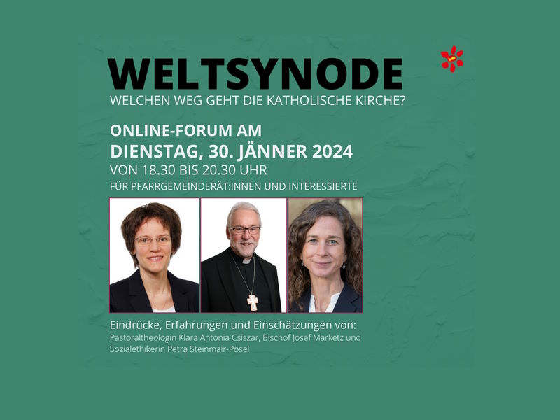 Weltsynode: Hochkarätiges Online-Forum informiert über nächste Schritte