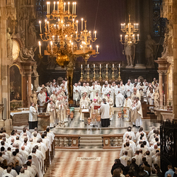 Chrisammesse 2025 / Erzdiözese Wien/ Schönlaub, Stephan Schönlaub