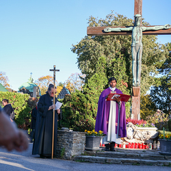 Erzdiözese Wien/Schönlaub