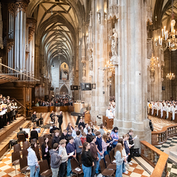 Chrisammesse 2025 / Erzdiözese Wien/ Schönlaub, Stephan Schönlaub